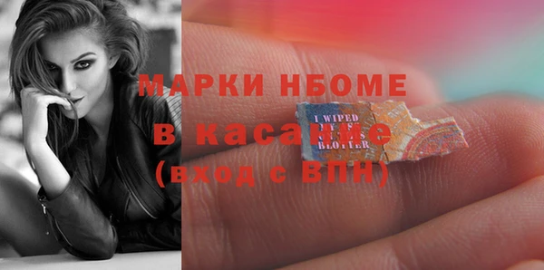 индика Магас