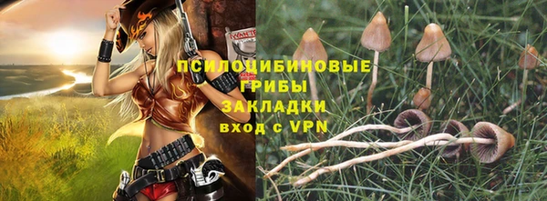 СК Абинск