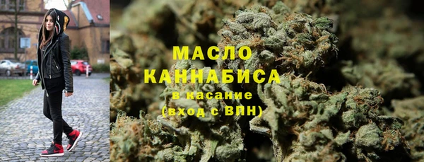 индика Магас