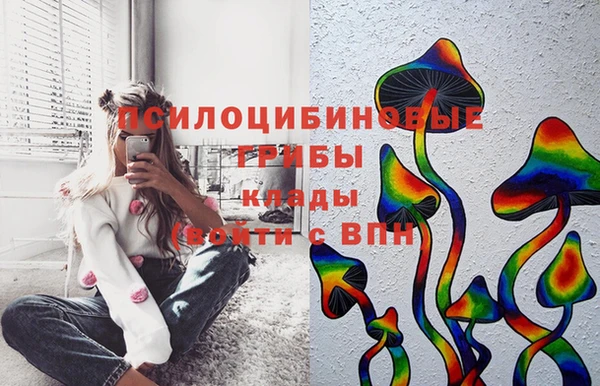 СК Абинск