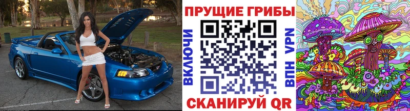 цены   Уржум  Псилоцибиновые грибы ЛСД 
